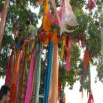 Vraj-Yatra-2014- (1732)